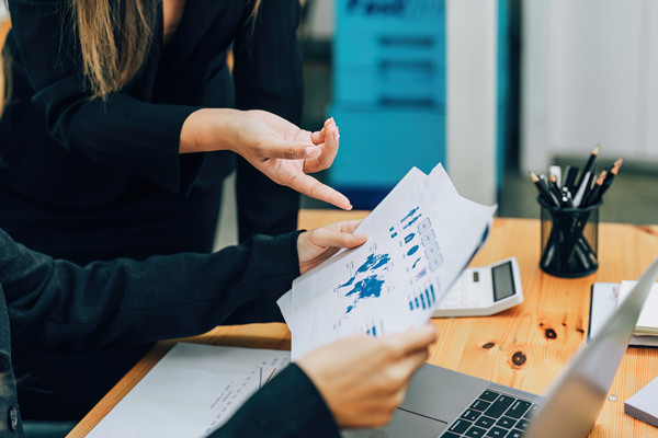 企業(yè)預(yù)算管理：打造財(cái)務(wù)穩(wěn)健，引領(lǐng)企業(yè)騰飛新篇章